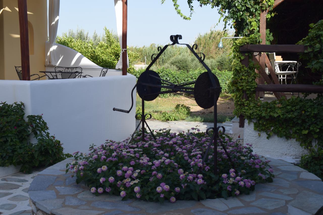 Tzane Studios & Apartments - Steps Away From Golden Beach Хриси-Акти Экстерьер фото